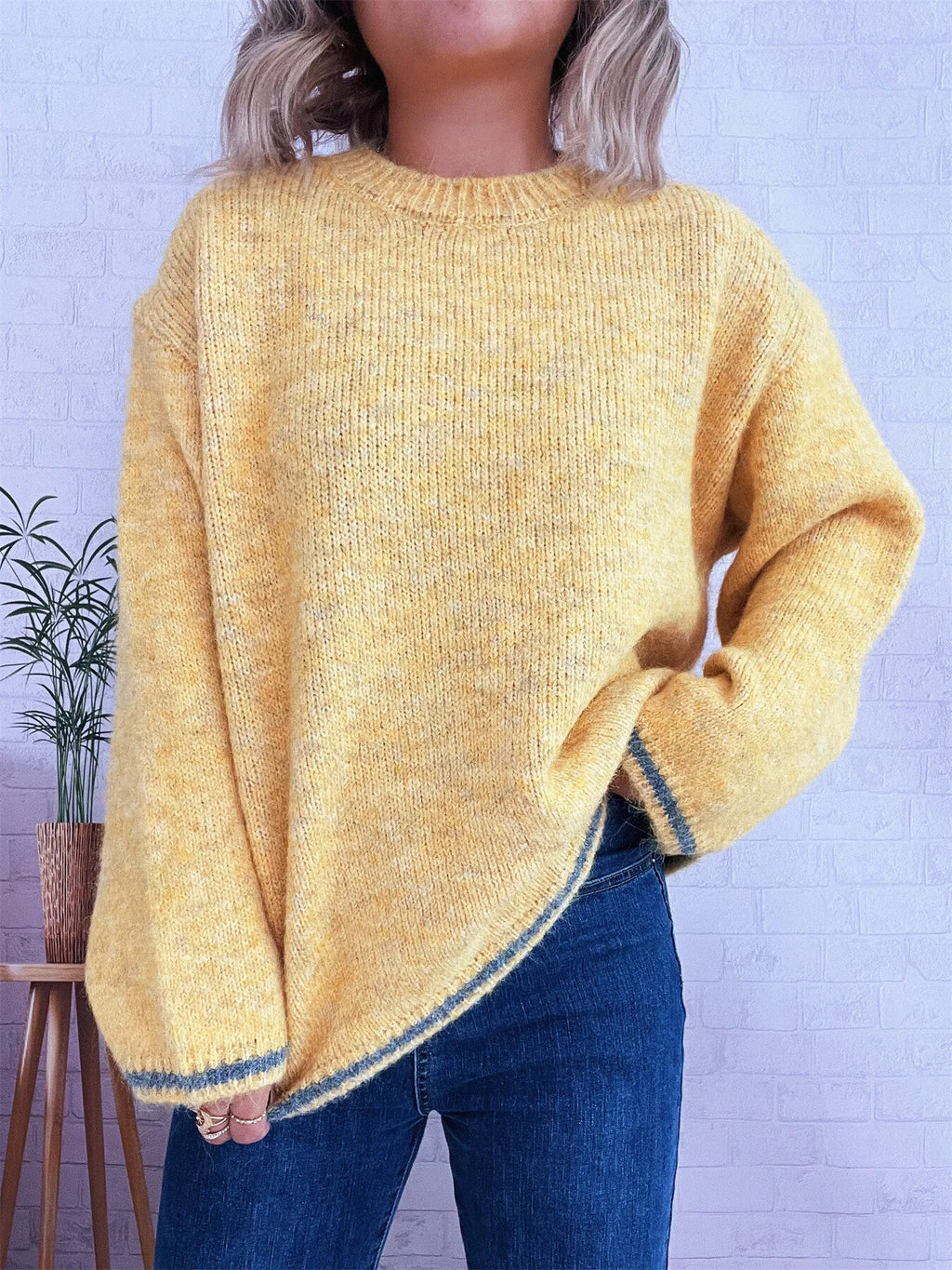 Sarah Express Women's Contrast Trim Round Neck Cozy Sweater