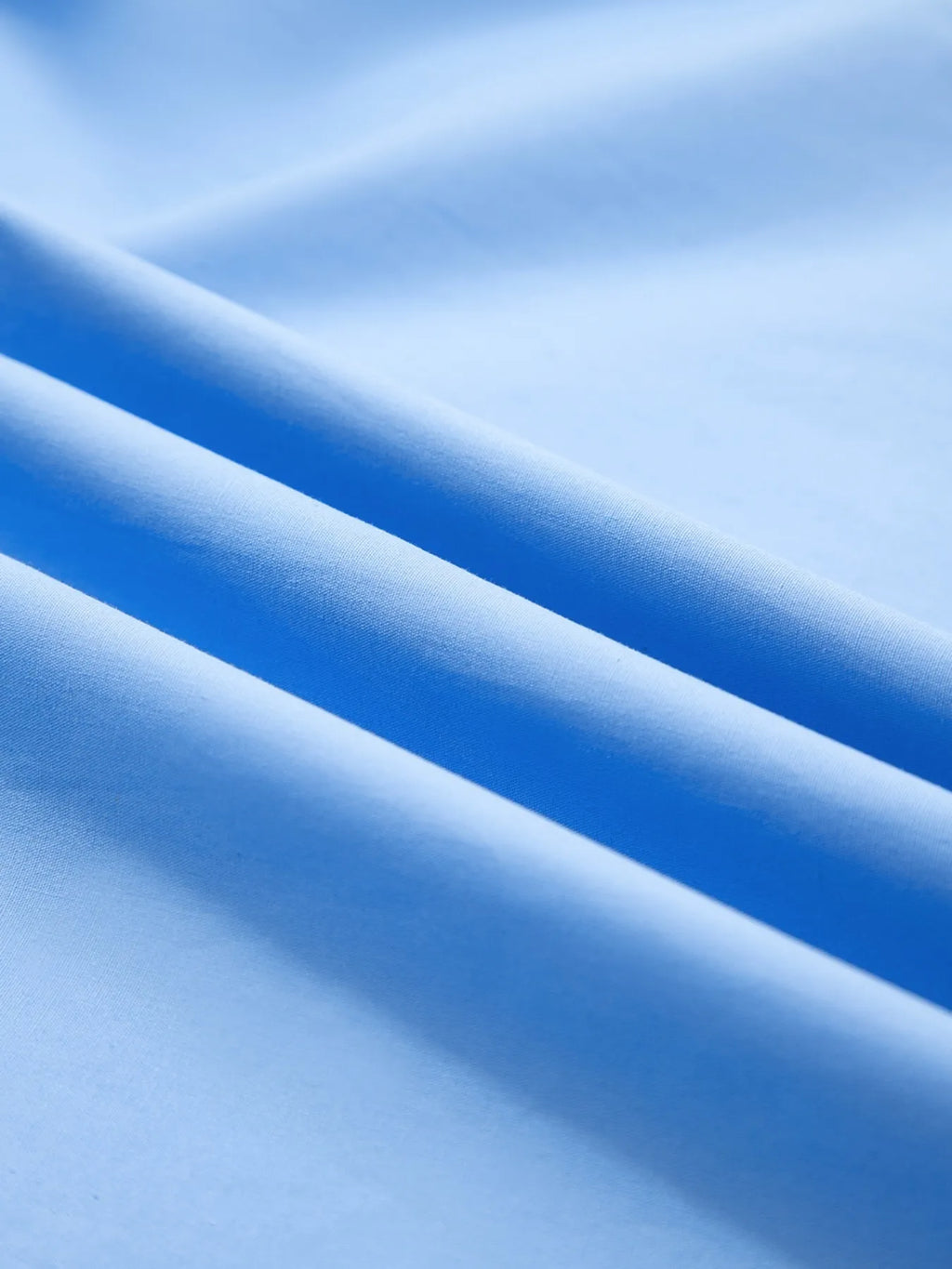 Sarah Express Women's Contrast Trim Notched Short Sleeve Blouse