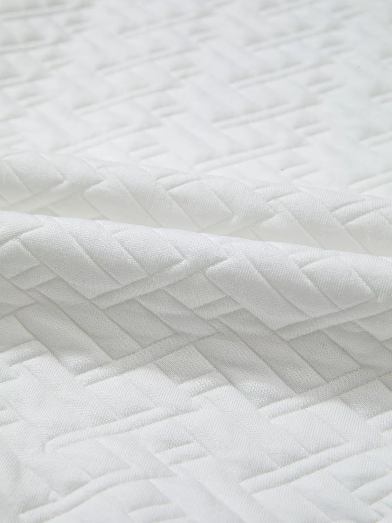 Sarah Express Women's Textured Johnny Collar Sweatshirt