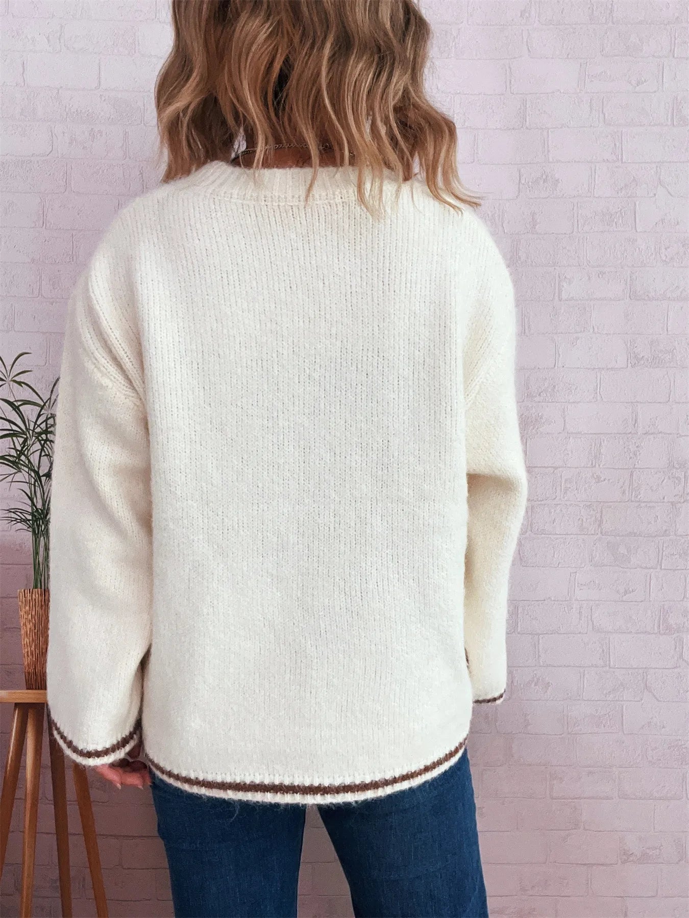 Sarah Express Women's Contrast Trim Round Neck Cozy Sweater