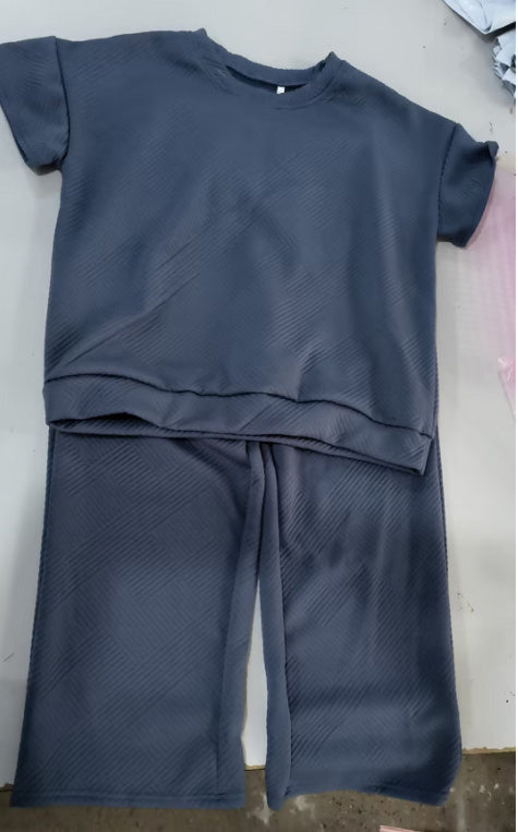 Women's Textured Short Sleeve Top and Pants Two-Piece Casual Set