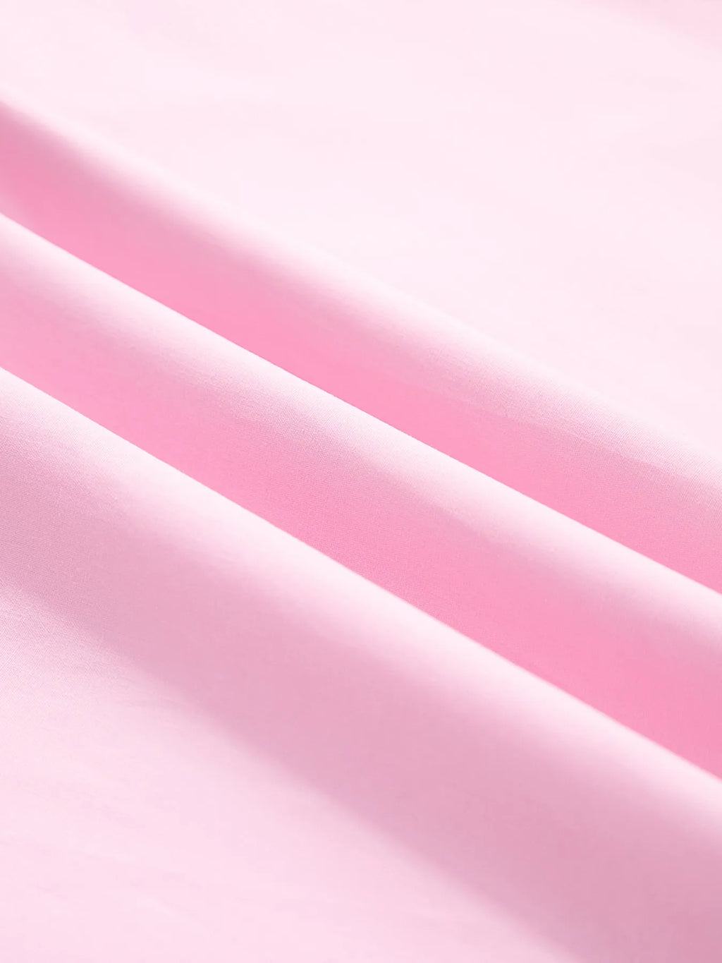 Sarah Express Women's Contrast Trim Notched Short Sleeve Blouse