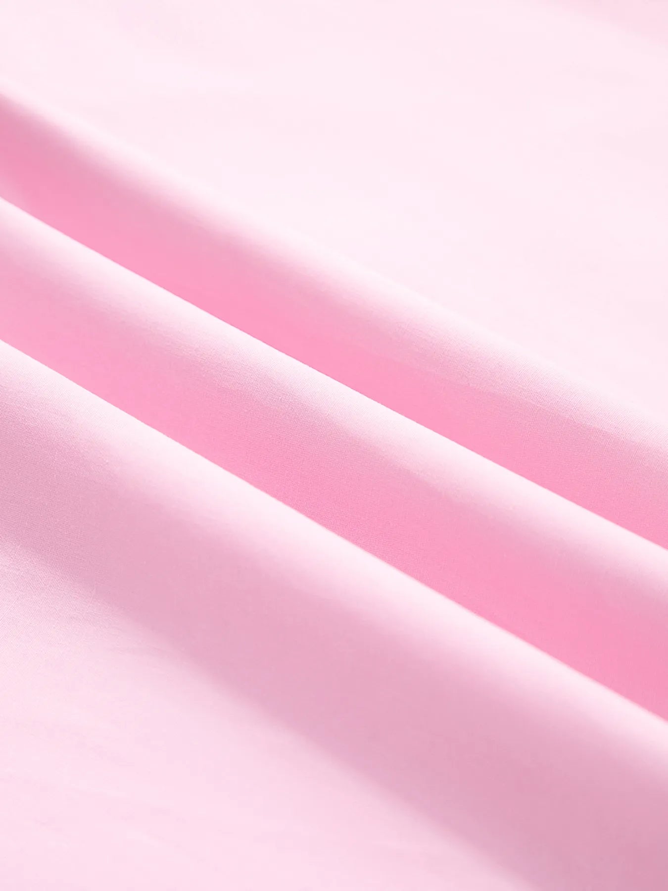 Sarah Express Women's Contrast Trim Notched Short Sleeve Blouse