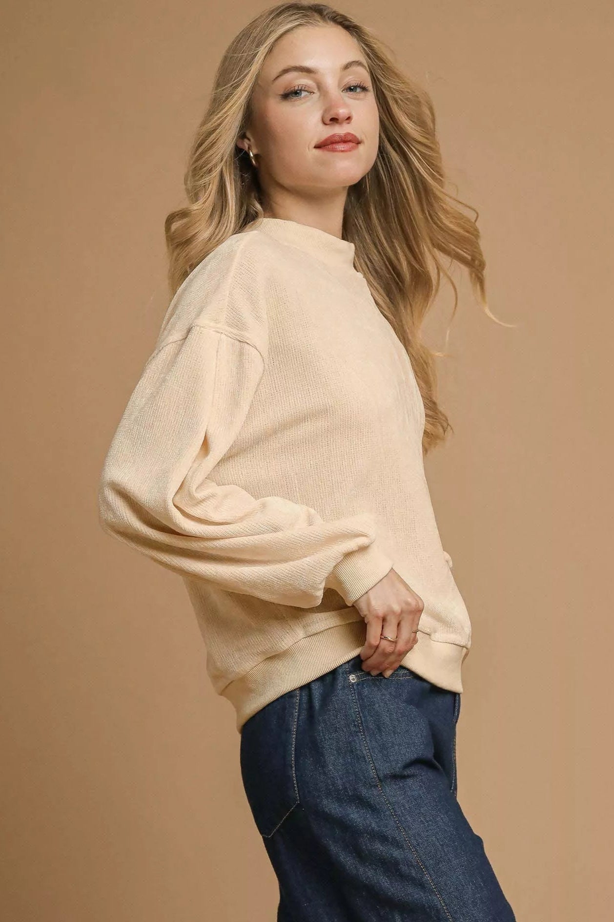 Sarah Express Women’s Velour Crewneck Sweatshirt with Balloon Sleeves Casual Fall Winter